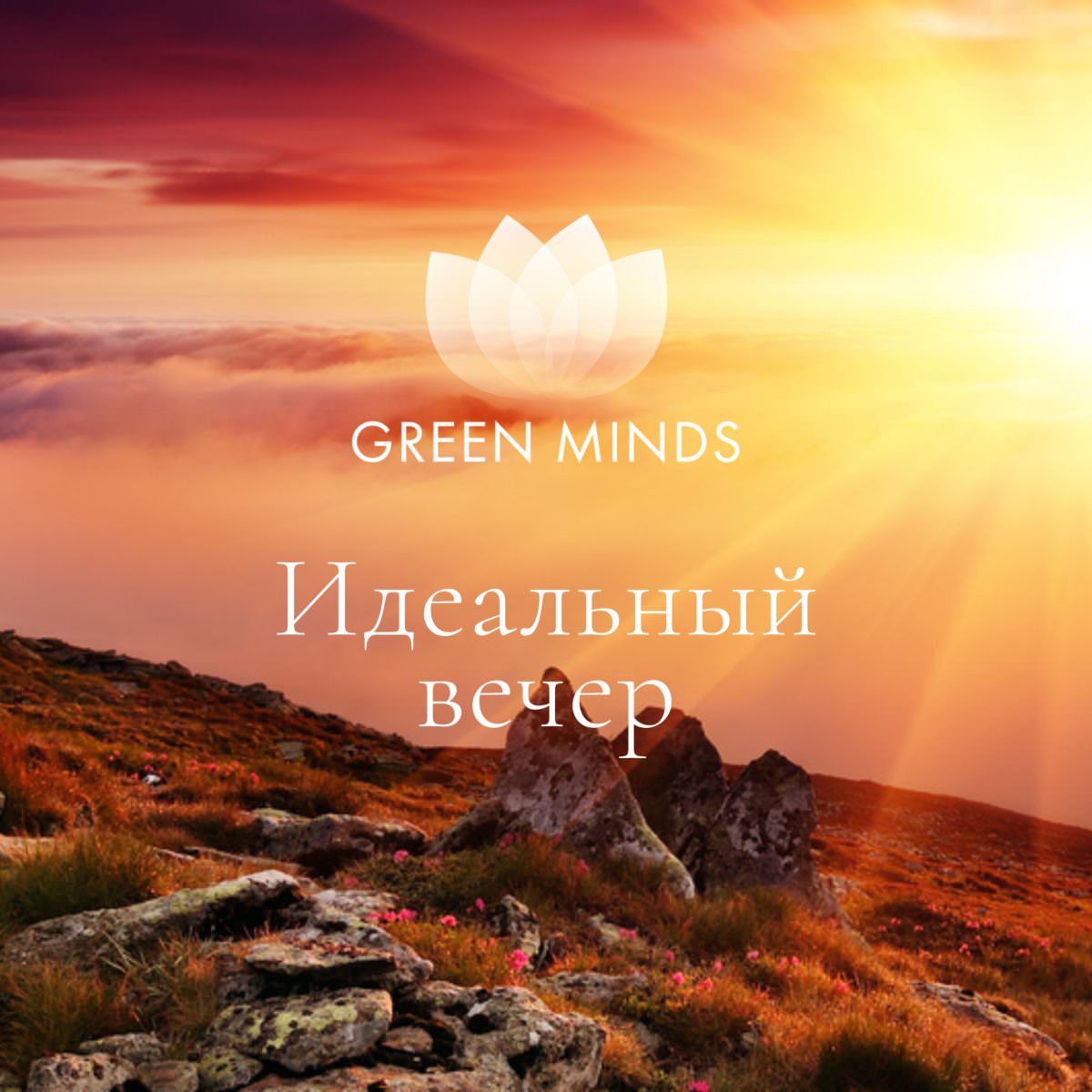 Нейромедитация GREEN MINDS «Идеальный вечер» по цене 460 руб. - купить в  Октябрьске ☛ Доставка ★ Интернет-магазин «EcoGreenDom»